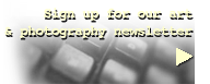 photography newsletter